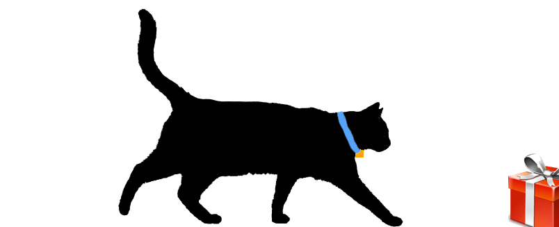 CAT GPS Image