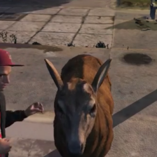 GTA V Deer Cam – For those that really don’t have anything better to do