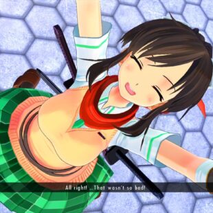 Senran Kagura: Peach Beach Splash Review - Fanservice Can Be Good