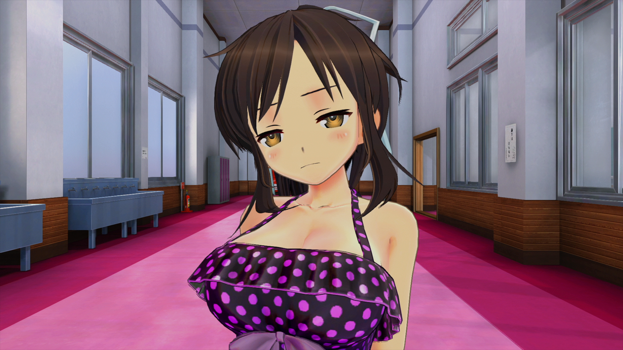 Senran Kagura Burst Re:Newal review